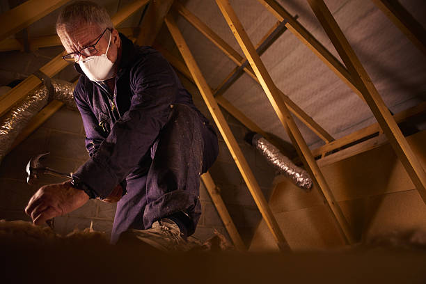 Best Cellulose Insulation  in Exton, PA